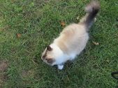 Enlarge photo 14