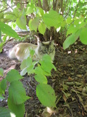 Enlarge photo 18