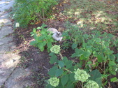 Enlarge photo 26