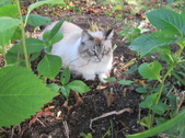 Enlarge photo 27