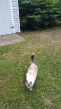Enlarge photo 3
