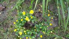 Enlarge photo 5