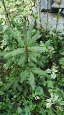 Enlarge photo 6