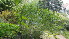 Enlarge photo 10