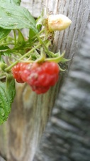 Enlarge photo 14
