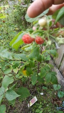 Enlarge photo 15