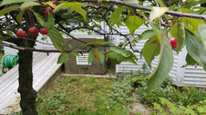Enlarge photo 19