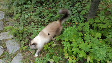 Enlarge photo 20