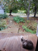 Enlarge photo 15