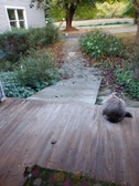 Enlarge photo 27