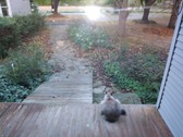 Enlarge photo 28