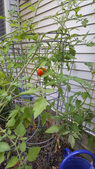 Enlarge photo 7