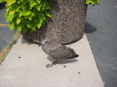 Enlarge photo 23