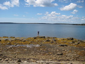 Enlarge photo 16