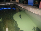 Enlarge photo 1