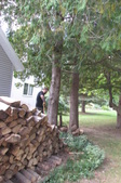 Enlarge photo 8