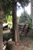 Enlarge photo 12