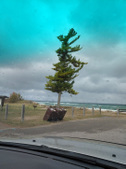 Enlarge photo 14