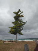 Enlarge photo 16