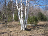 Enlarge photo 16