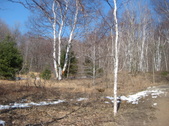 Enlarge photo 19