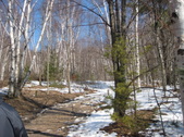 Enlarge photo 21