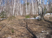 Enlarge photo 22