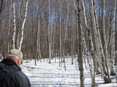 Enlarge photo 25