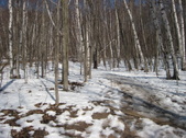 Enlarge photo 26