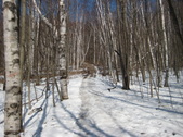 Enlarge photo 27