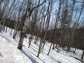 Enlarge photo 28