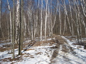 Enlarge photo 29