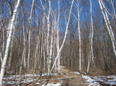 Enlarge photo 30