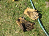 Enlarge photo 4