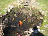 Enlarge photo 6