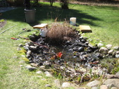Enlarge photo 11