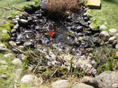 Enlarge photo 12