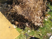 Enlarge photo 19