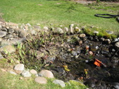 Enlarge photo 21