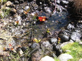 Enlarge photo 22