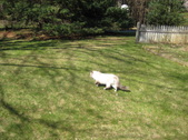 Enlarge photo 28