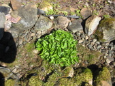 Enlarge photo 30