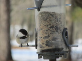 Enlarge photo 12