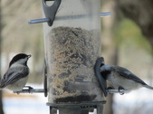 Enlarge photo 13