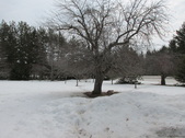 Enlarge photo 26