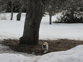 Enlarge photo 30
