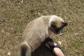 Enlarge photo 24