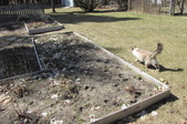 Enlarge photo 25