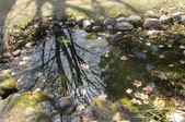 Enlarge photo 26