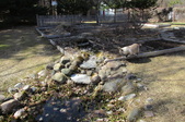 Enlarge photo 27